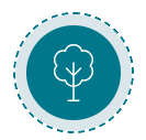 tree-plant-icon