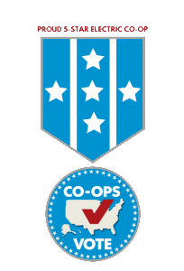 5 star co-op medal